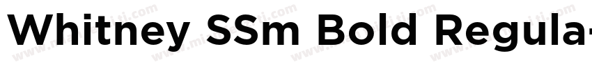 Whitney SSm Bold Regula字体转换